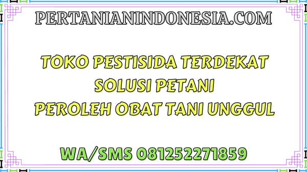 Toko Pestisida Terdekat Solusi Petani Peroleh Obat Tani Unggul